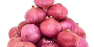 Onion
