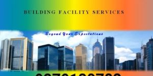 Ozone Spider Glazing & Patch Fitting Services