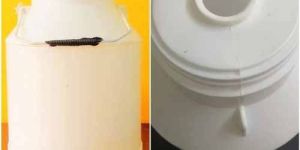 5 Liter White Plastic Milk Can