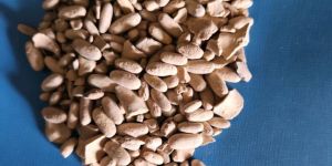 Hajrul Yahoo. Ber Pathar