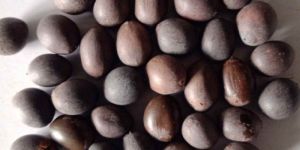 Lotus Seeds