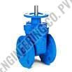 Wedge Gate Valve