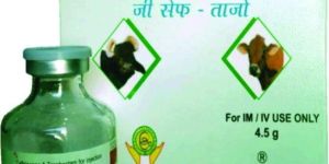 G Ceph - Tazo Injection