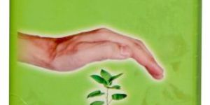 Plant Humic Acid 15% - Root Developer