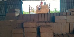 Cocopeat Blocks