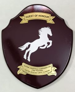 Shield with Customization