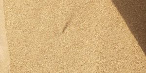Construction Sand
