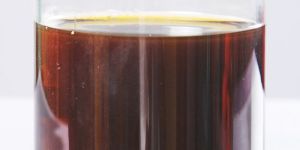 Cold Pressed Neem Kernel Oil