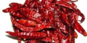 Teja Red chilli -S17