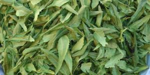 Azadirachta Indica Powder