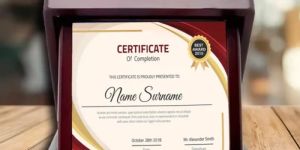 Premium Triumph Ceramic Tiles with Box