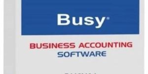 Busy Accounting Software Services