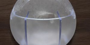 Apple Toothbrush Holder