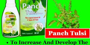 Panch Tulsi Drop