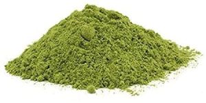 Moringa Powder