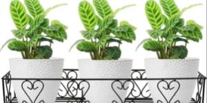 1 Tier Railing Metal Planter Stand