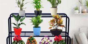 3 Tier Iron Planter Stand