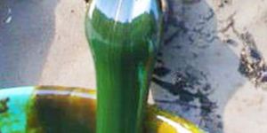 Rubber Processing Oil