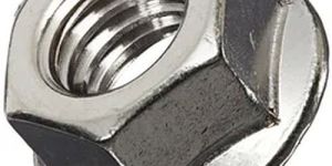 Stainless Steel Hex Flange Nut