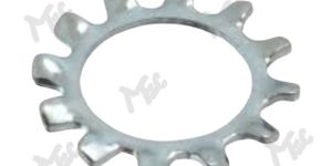 External Tooth Lock Washer