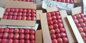 Kashmiri Apple