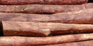 Red Sandalwood Logs