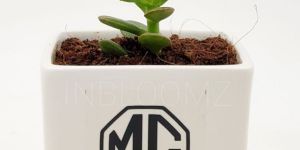 Branded Corporate Gifts