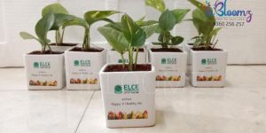 Corporate Gifting Service