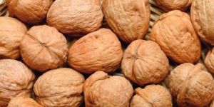 Natural Dried Walnuts