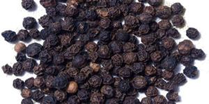 Black Pepper