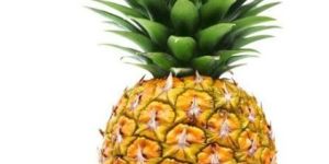 Fresh Pineapple