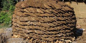 Cow Dung Cake