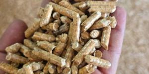 Pure PineWood Pellets