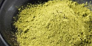 Green Tea Extract