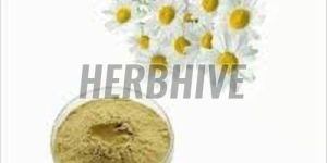 Chamomile Powder
