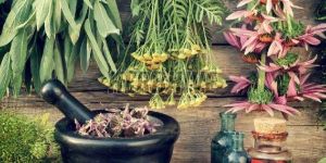 Colistin Sulphate Powder