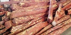 Natural Red Sandalwood Logs