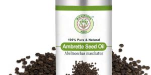 Ambrette Seed Oil