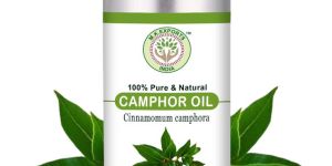 Camphor Essential Oil
