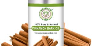 Cinnamon Bark Essential Oil
