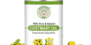 Costmary Essential Oil