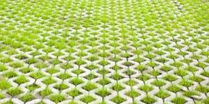 Grass Paver Blocks