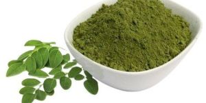 Moringa Powder