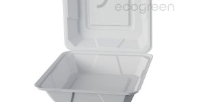 Sugarcane Bagasse Clamshell 9x9 - Single Compartment