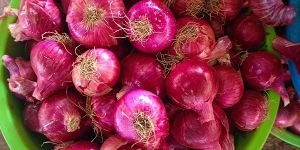 A Grade Dry Fresh Organic Red Onion