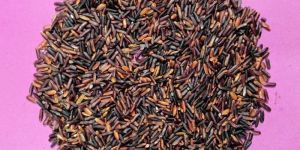 Black Rice