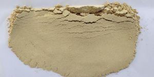 Dehydrated Garlic Powder