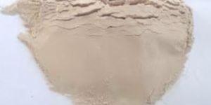 Dehydrated Pink Onion Powder