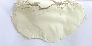 Dehydrated White Onion Powder