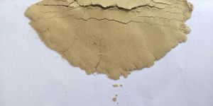 Dried Ginger Powder